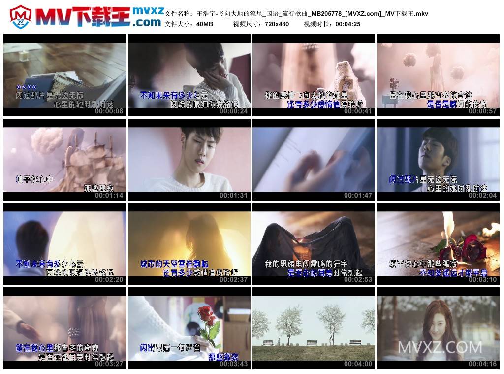 王浩宇-飞向大地的流星_国语_流行歌曲_MB205778